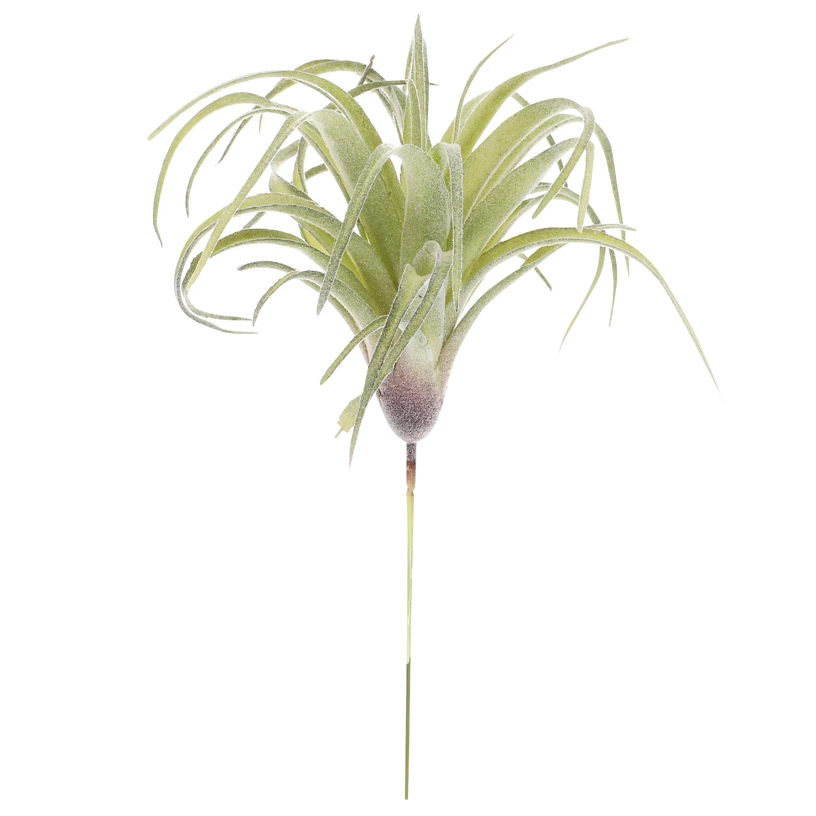 Photo Props Plant Artificial Bromeliad Decoration Succulent Planters Hanging Plants Simulation
Photo Props Plant Artificial Bromeliad Decoration Succulent Planters Hanging Plants Simulation