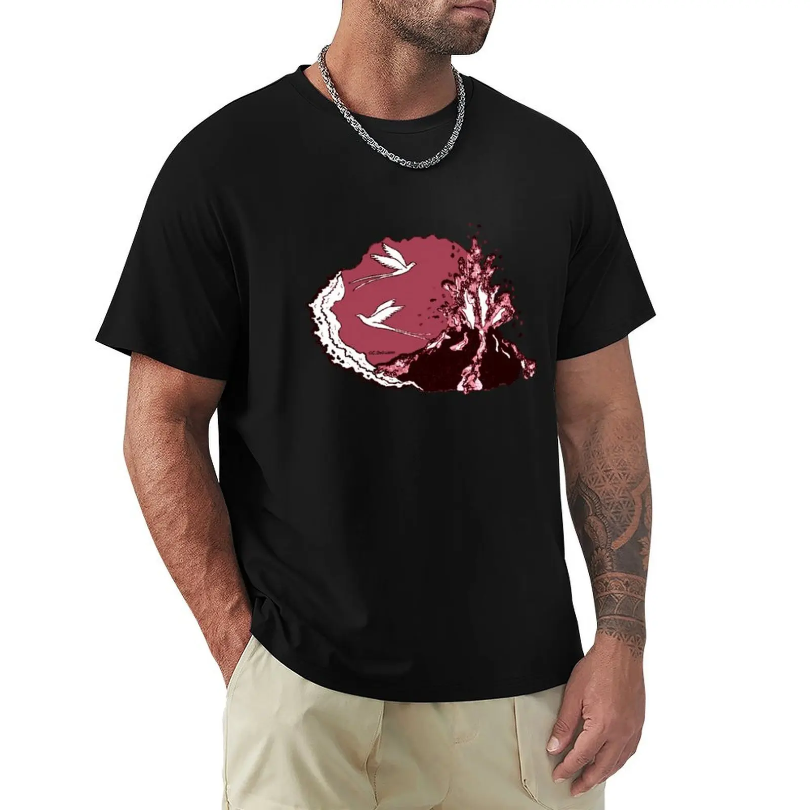 Reunion Island. Piton de la Fournaise T-Shirt topping vintage t shirts plain mens white t shirts
Reunion Island. Piton de la Fournaise T-Shirt topping vintage t shirts plain mens white t shirts