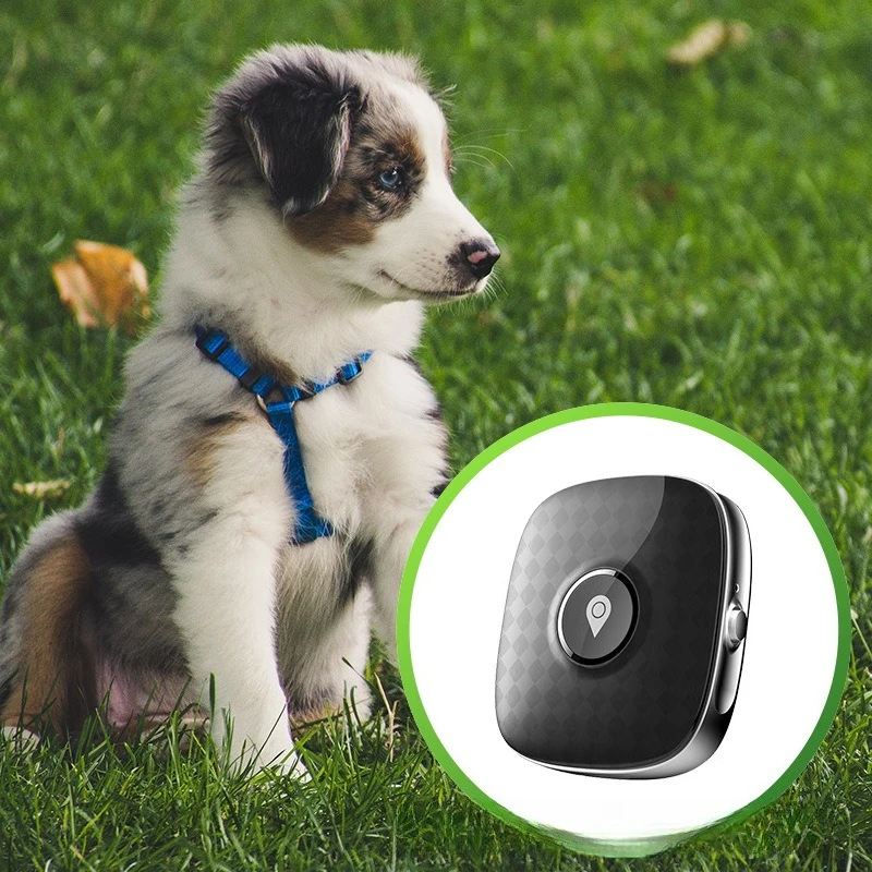 Portable Mini GPS Tracking Device Locator with Panic SOS Button 4G GPS Tracker for Kids&Pets
Portable Mini GPS Tracking Device Locator with Panic SOS Button 4G GPS Tracker for Kids&Pets