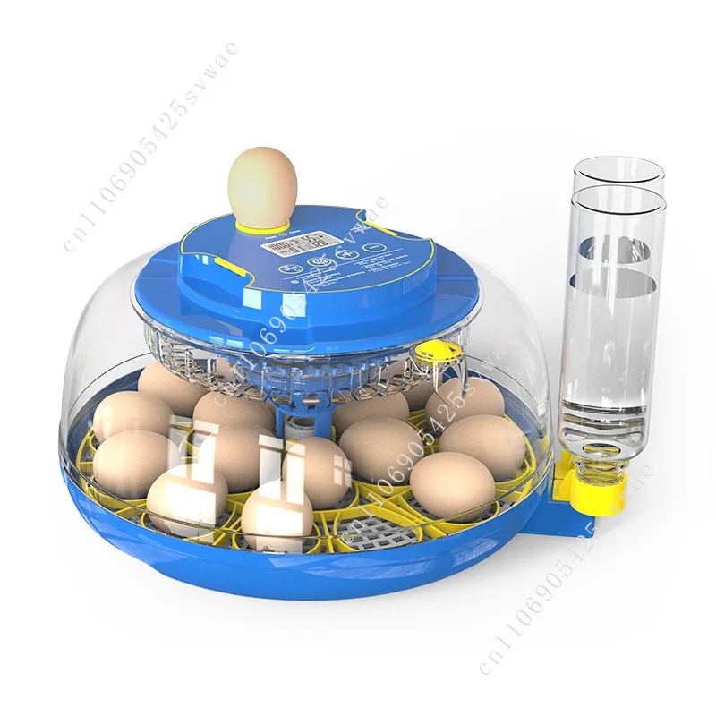 Factory direct supply 12 scientific teaching and research egg incubator poultry egg incubator chick breeding 
Factory direct supply 12 scientific teaching and research egg incubator poultry egg incubator chick breeding