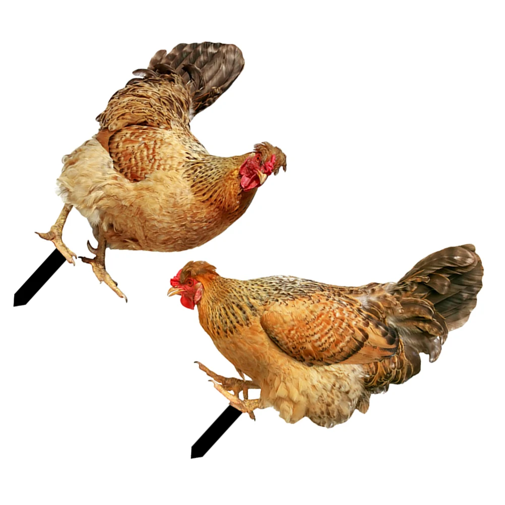 2 Pcs Garden Inserts Decorative Chicken Insert Lawn Decor Yard Decor Animal Stakes Yard Sign Realistic Shape Festive Atmosphere
2 Pcs Garden Inserts Decorative Chicken Insert Lawn Decor Yard Decor Animal Stakes Yard Sign Realistic Shape Festive Atmosphere