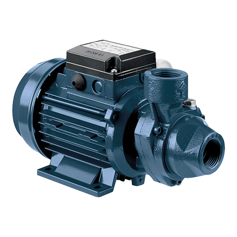 Cast Iron Peripheral Electric Water Pump PRA 1.00 M Model
Cast Iron Peripheral Electric Water Pump PRA 1.00 M Model
