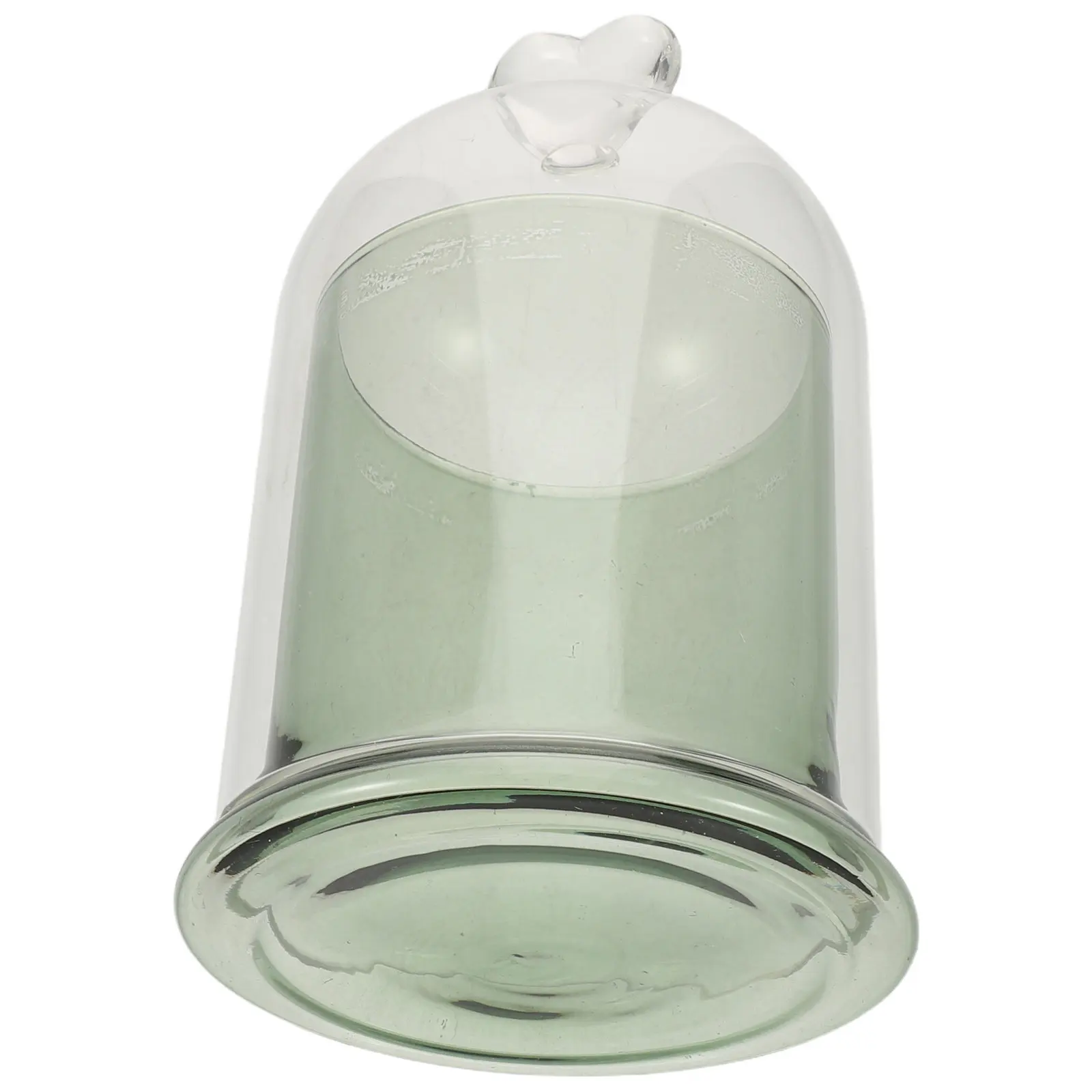 Clear Glass Display Dome Cloche with Base Dustproof Bell Jar Flower Cover Diffuser Preserved Eternity Flower Globe Cake Plants
Clear Glass Display Dome Cloche with Base Dustproof Bell Jar Flower Cover Diffuser Preserved Eternity Flower Globe Cake Plants