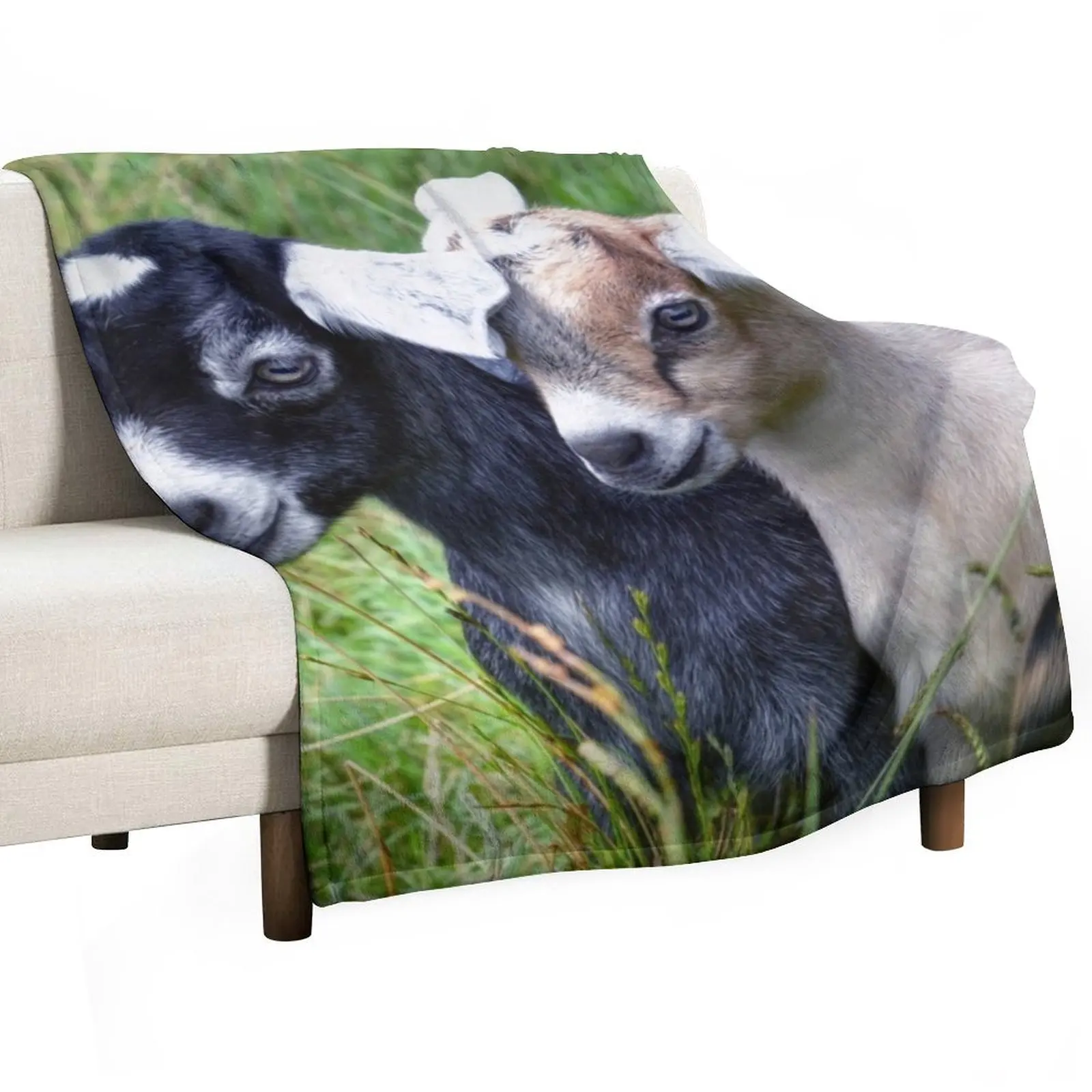 Two Baby Goats Throw Blanket Beach Soft Beds Plaid warm for winter Blankets
Two Baby Goats Throw Blanket Beach Soft Beds Plaid warm for winter Blankets