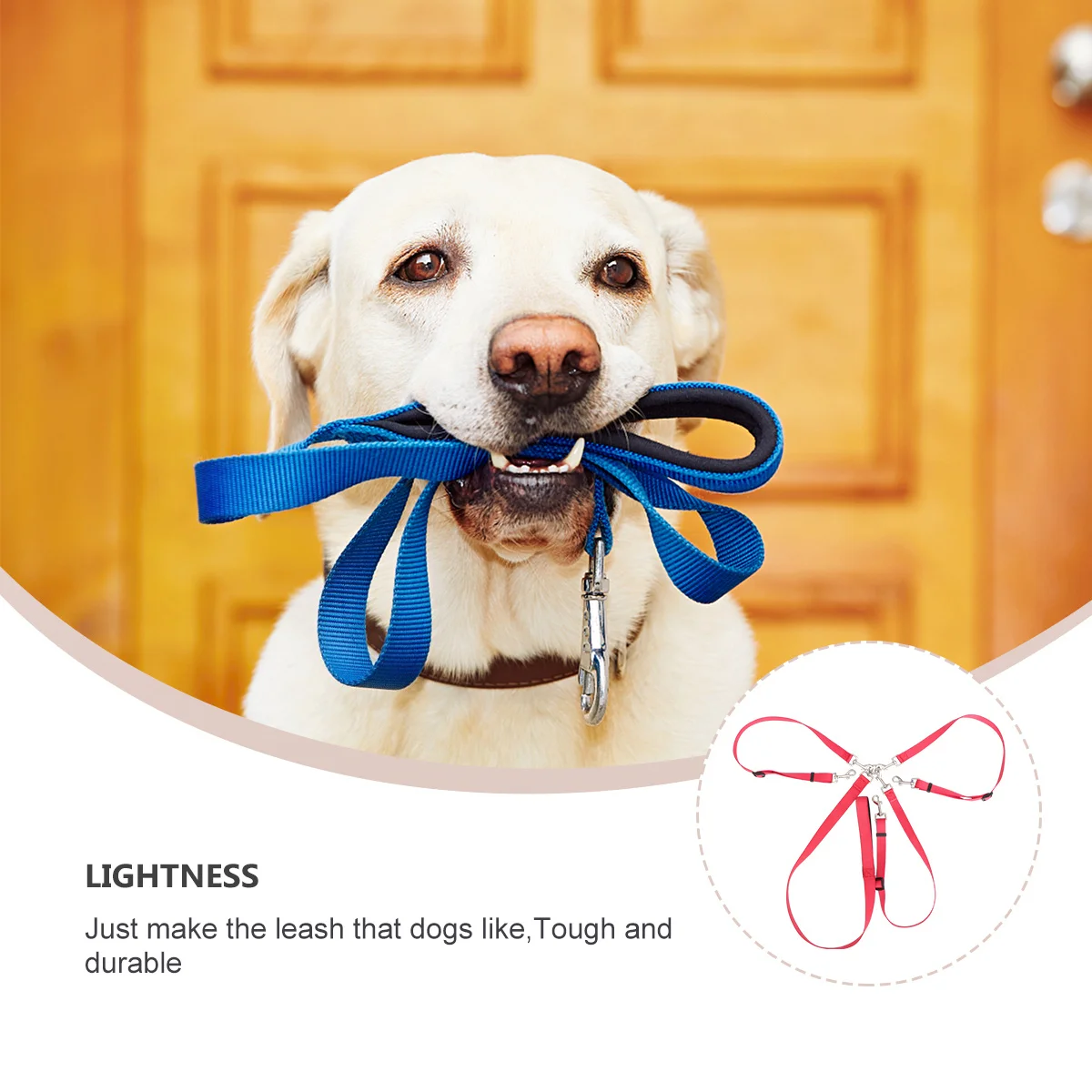 Adjustable Triple Clip Leash Coupler Red Long Pets Training Lead Comfortable Release Pet Training Lead
Adjustable Triple Clip Leash Coupler Red Long Pets Training Lead Comfortable Release Pet Training Lead