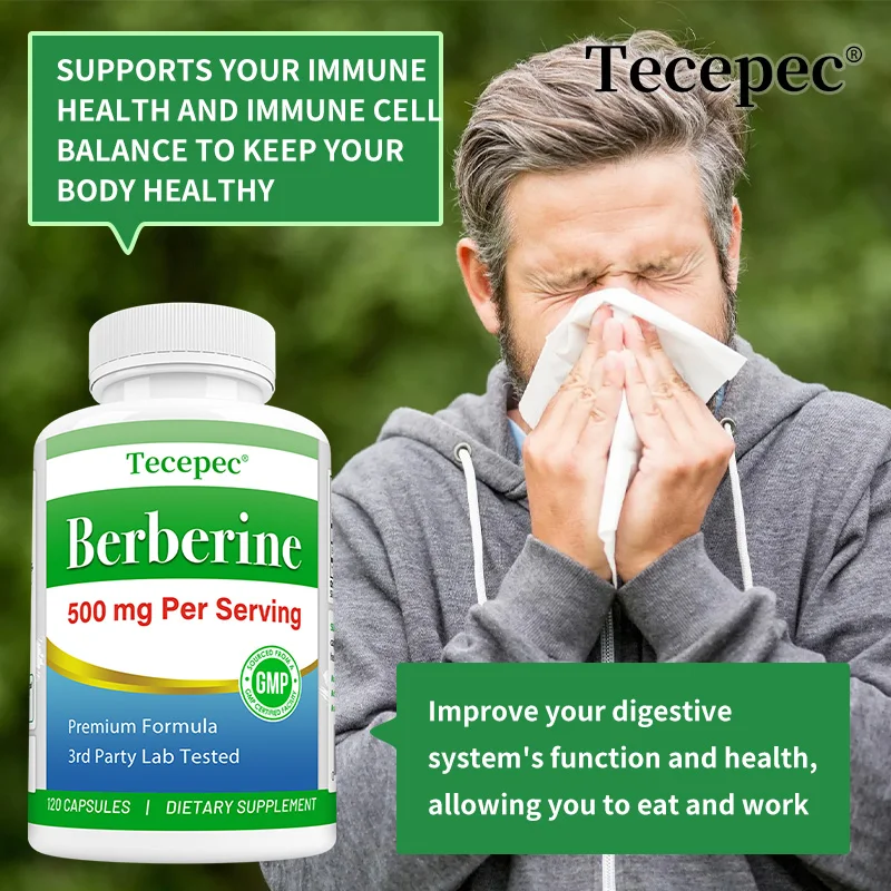 Berberine Extract - 500 Mg, Supports Digestive System, Antioxidant, Enhances Cognitive Processes, Cardiovascular and GI Health
Berberine Extract - 500 Mg, Supports Digestive System, Antioxidant, Enhances Cognitive Processes, Cardiovascular and GI Health