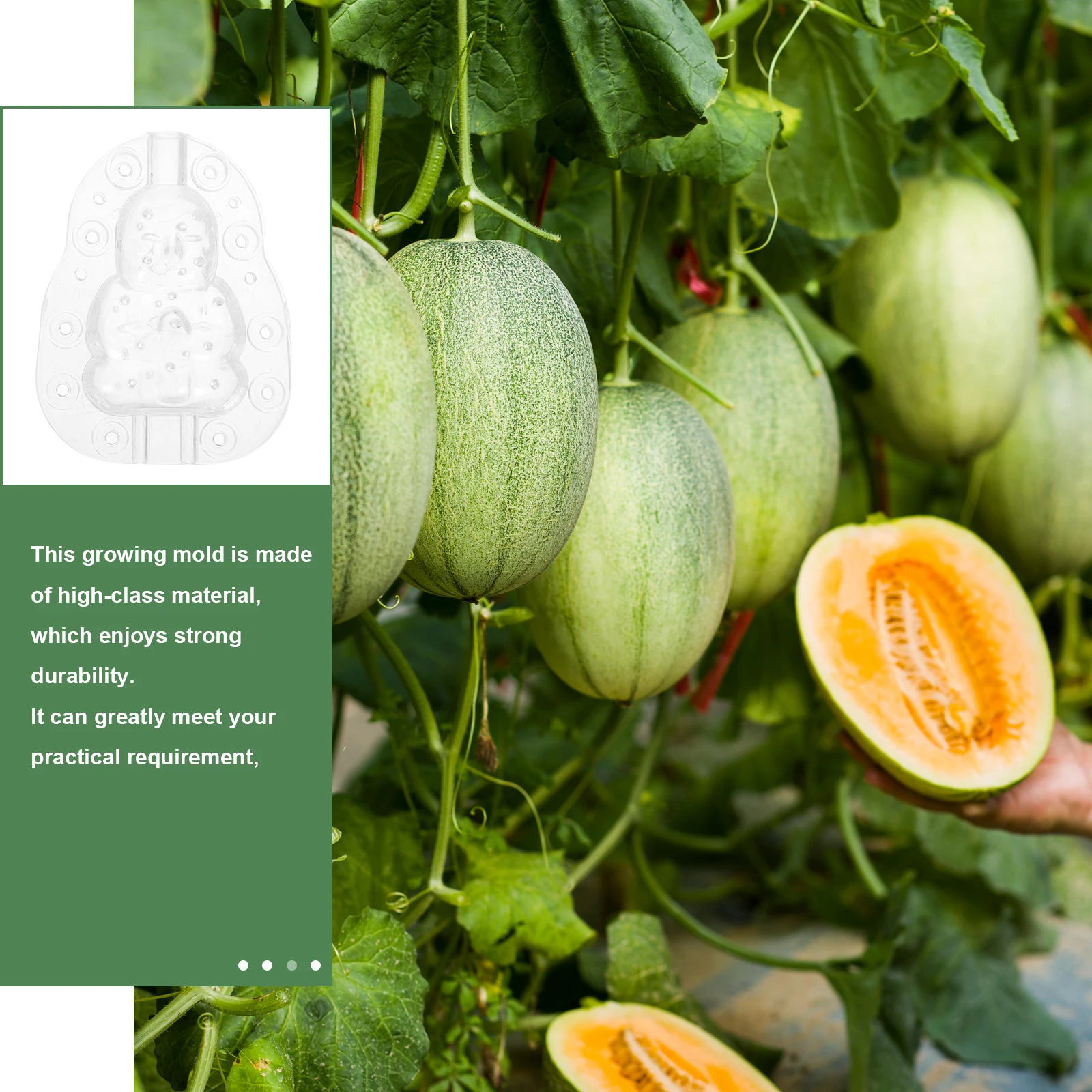 3Pcs 8cm Buddha Baby Fruit Growing Mold Transparent Reusable Plastic Melon Shaper for Gardening Special Fruits Vegetables DIY
3Pcs 8cm Buddha Baby Fruit Growing Mold Transparent Reusable Plastic Melon Shaper for Gardening Special Fruits Vegetables DIY