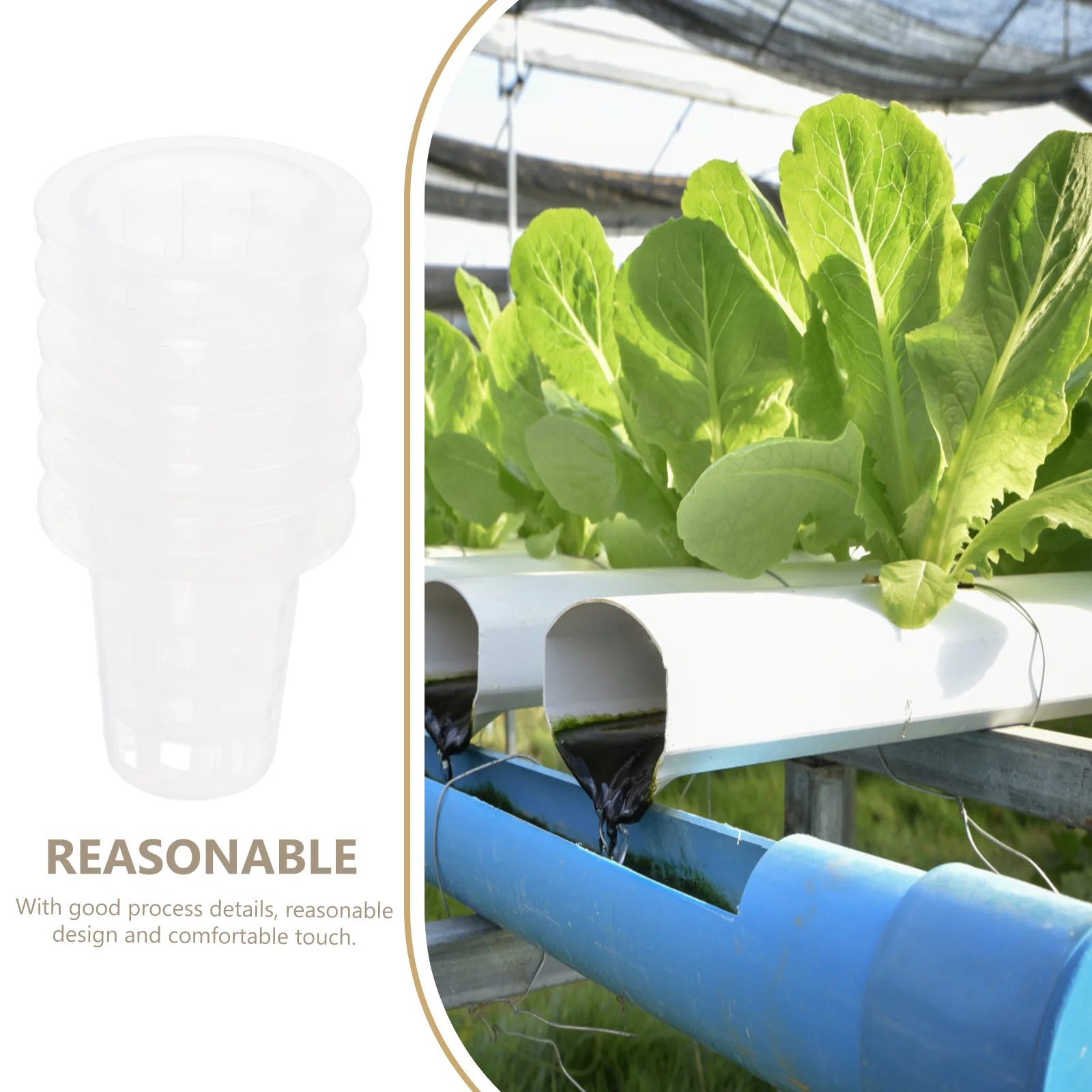 60pcs Hydroponic Planting Basket Root Fixer Grow Baskets Seedling Pots for Plants Garden Balcony Terrace Greenhouse Durability
60pcs Hydroponic Planting Basket Root Fixer Grow Baskets Seedling Pots for Plants Garden Balcony Terrace Greenhouse Durability