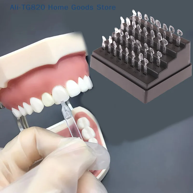 32pcs/set Dental Veneer Mould Kit Dental Direct Composite Venner System Composite Resin Mold Light Cure AnteriorTeeth Mould
32pcs/set Dental Veneer Mould Kit Dental Direct Composite Venner System Composite Resin Mold Light Cure AnteriorTeeth Mould