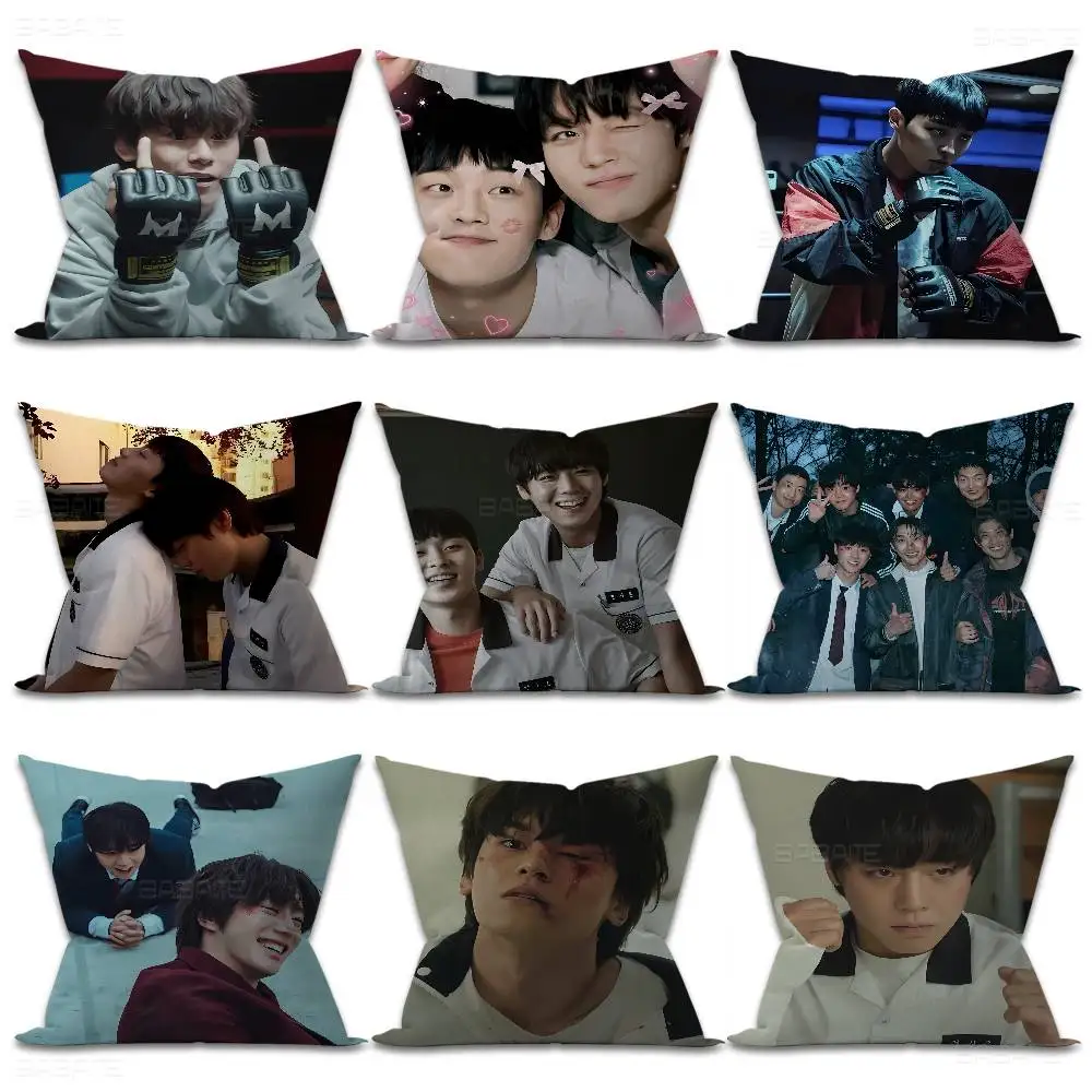 Hot Kdrama Weak Hero Class Pillow Anime Pillow Sofa Bed Head Pillow Cover Cushion Cover 45x45 cm Fashion
Hot Kdrama Weak Hero Class Pillow Anime Pillow Sofa Bed Head Pillow Cover Cushion Cover 45x45 cm Fashion