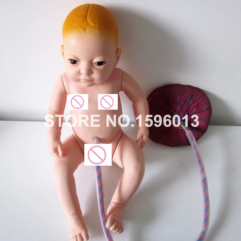 Neonatal Baby Nursing Model with Umbilical Cord and Placental Newborn Baby Doll
Neonatal Baby Nursing Model with Umbilical Cord and Placental Newborn Baby Doll