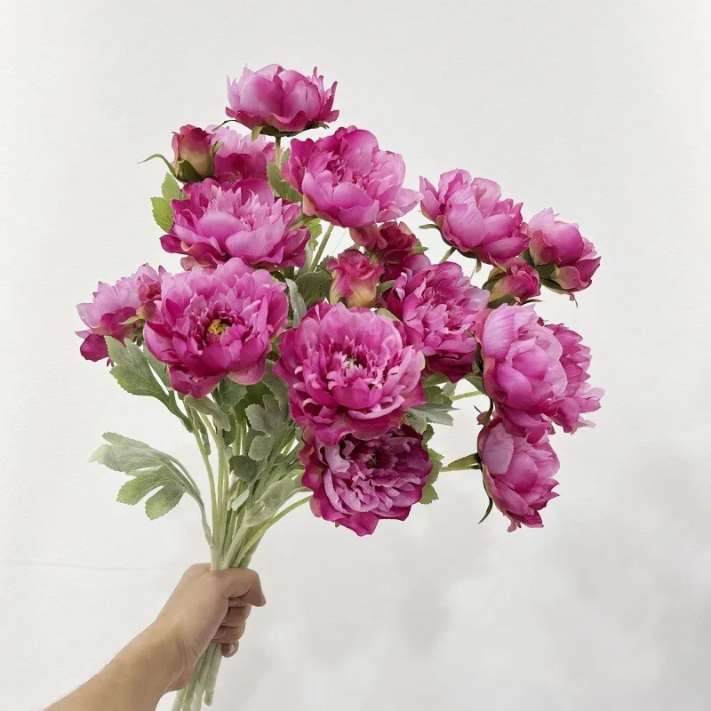 5 Pieces/3 Heads New Single Flocked Peony Artificial Flower Wedding and Event Decor Supplies Home DIY Decor Props Party Gift
5 Pieces/3 Heads New Single Flocked Peony Artificial Flower Wedding and Event Decor Supplies Home DIY Decor Props Party Gift