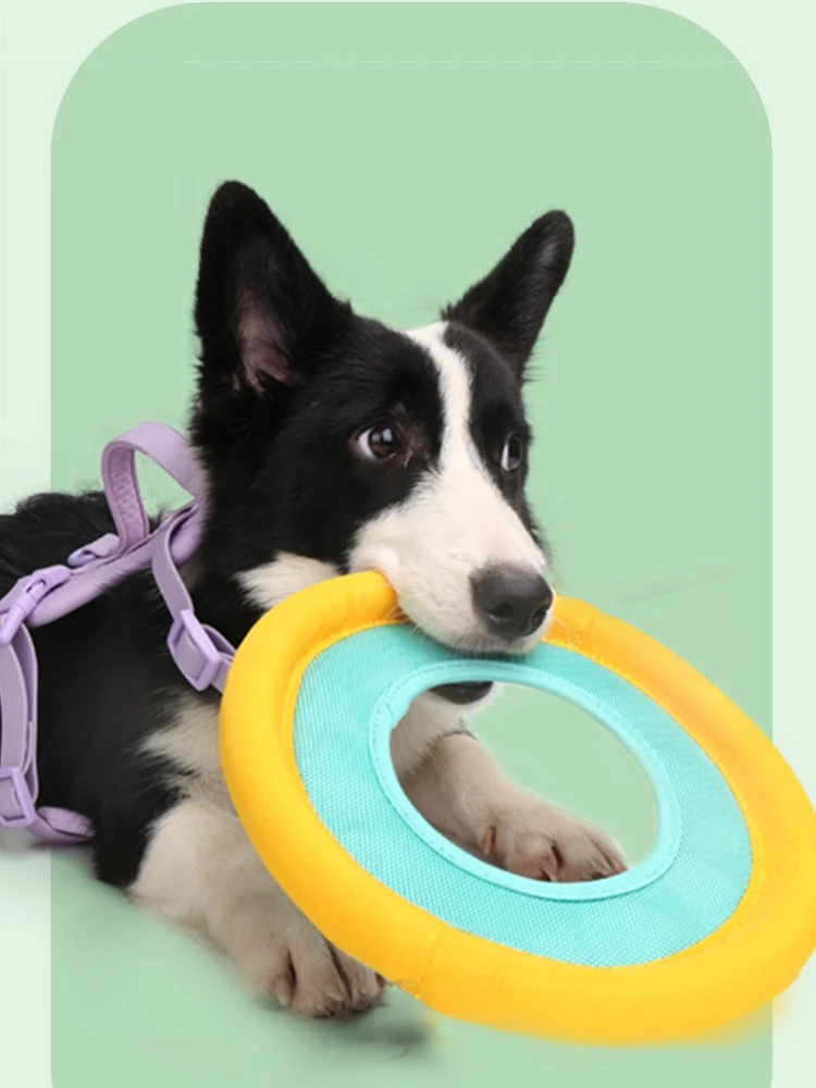 New Dog Outdoor Cloth Flying Discs Linen Dart Training Bite Tug of War Interactive Bite-resistant Dog Toys Pet toys Supplies
New Dog Outdoor Cloth Flying Discs Linen Dart Training Bite Tug of War Interactive Bite-resistant Dog Toys Pet toys Supplies