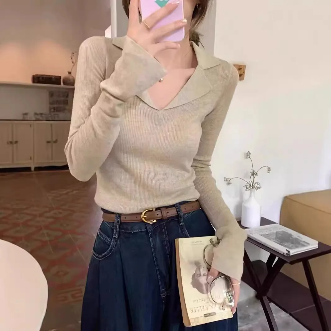 Korean V-neck with Bottoming Shirt Sweater Female All-match Simple Pullovers Autumn Winter New Slim Soft Waxy Sweater Top
Korean V-neck with Bottoming Shirt Sweater Female All-match Simple Pullovers Autumn Winter New Slim Soft Waxy Sweater Top