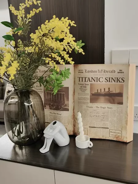 Retro American Style Large Fake Book Props Wedding Dress Shop Decorations Vintage Wall Decorations Artistic Home Decor
Retro American Style Large Fake Book Props Wedding Dress Shop Decorations Vintage Wall Decorations Artistic Home Decor