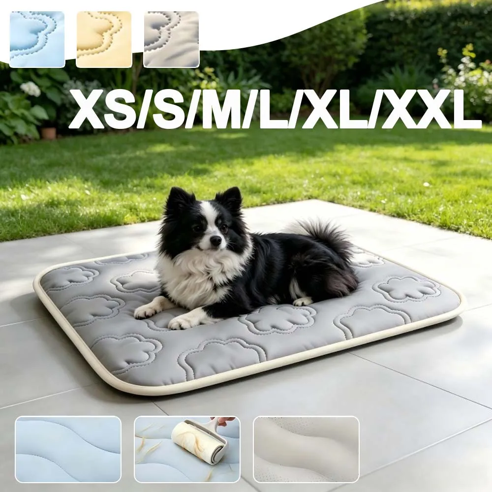 Self-Cooling Ice Mat for Pet Summer Cold Dog Bed Cat Sofa Nest with Non-Slip Bottom Durable Blanket Travel Pad for Puppy Kitten
Self-Cooling Ice Mat for Pet Summer Cold Dog Bed Cat Sofa Nest with Non-Slip Bottom Durable Blanket Travel Pad for Puppy Kitten