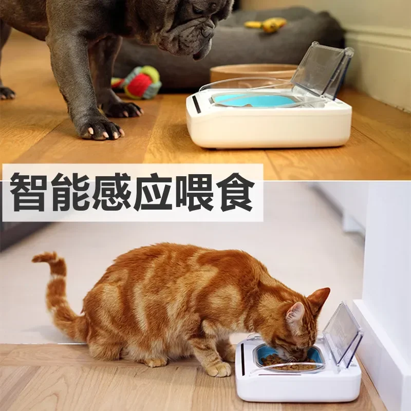 Pet Bowl Puppy Wet Food Preservation and Insect Prevention NEW Chip Recognition Sensing Multi Automatic Feeder
Pet Bowl Puppy Wet Food Preservation and Insect Prevention NEW Chip Recognition Sensing Multi Automatic Feeder
