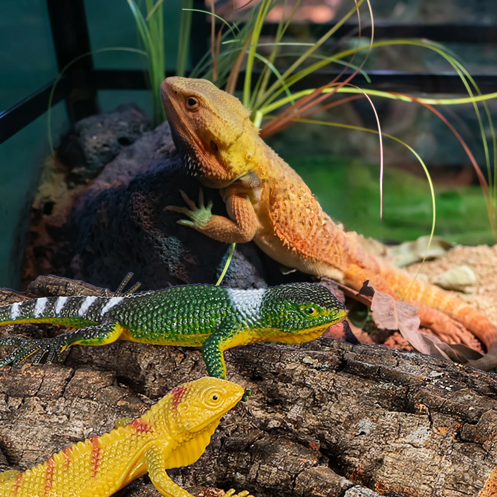 4Pcs Reptile Cork Bark Backgrounds Versatile Use Strong Durable Aquarium Decoration Cork Board Reptile Aquarium Decorations
4Pcs Reptile Cork Bark Backgrounds Versatile Use Strong Durable Aquarium Decoration Cork Board Reptile Aquarium Decorations