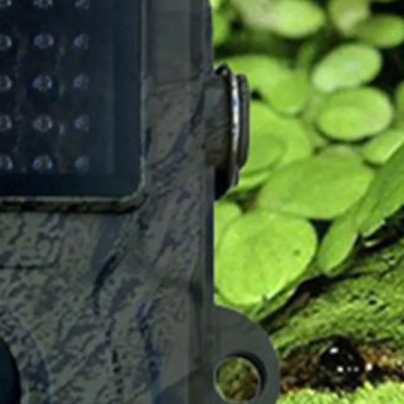Hunting Trail Camera Motion Activated Infrared Night Cam Animal Observation Camera for Scouting Hunting
Hunting Trail Camera Motion Activated Infrared Night Cam Animal Observation Camera for Scouting Hunting