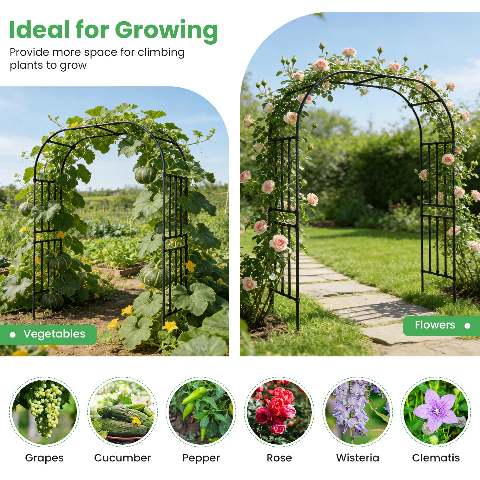 7.87ft Pumpkin Archway for Climbing Plants Outdoor Garden Arbors and Arches for Flower Vines Wedding Bridal Party Decoration
7.87ft Pumpkin Archway for Climbing Plants Outdoor Garden Arbors and Arches for Flower Vines Wedding Bridal Party Decoration