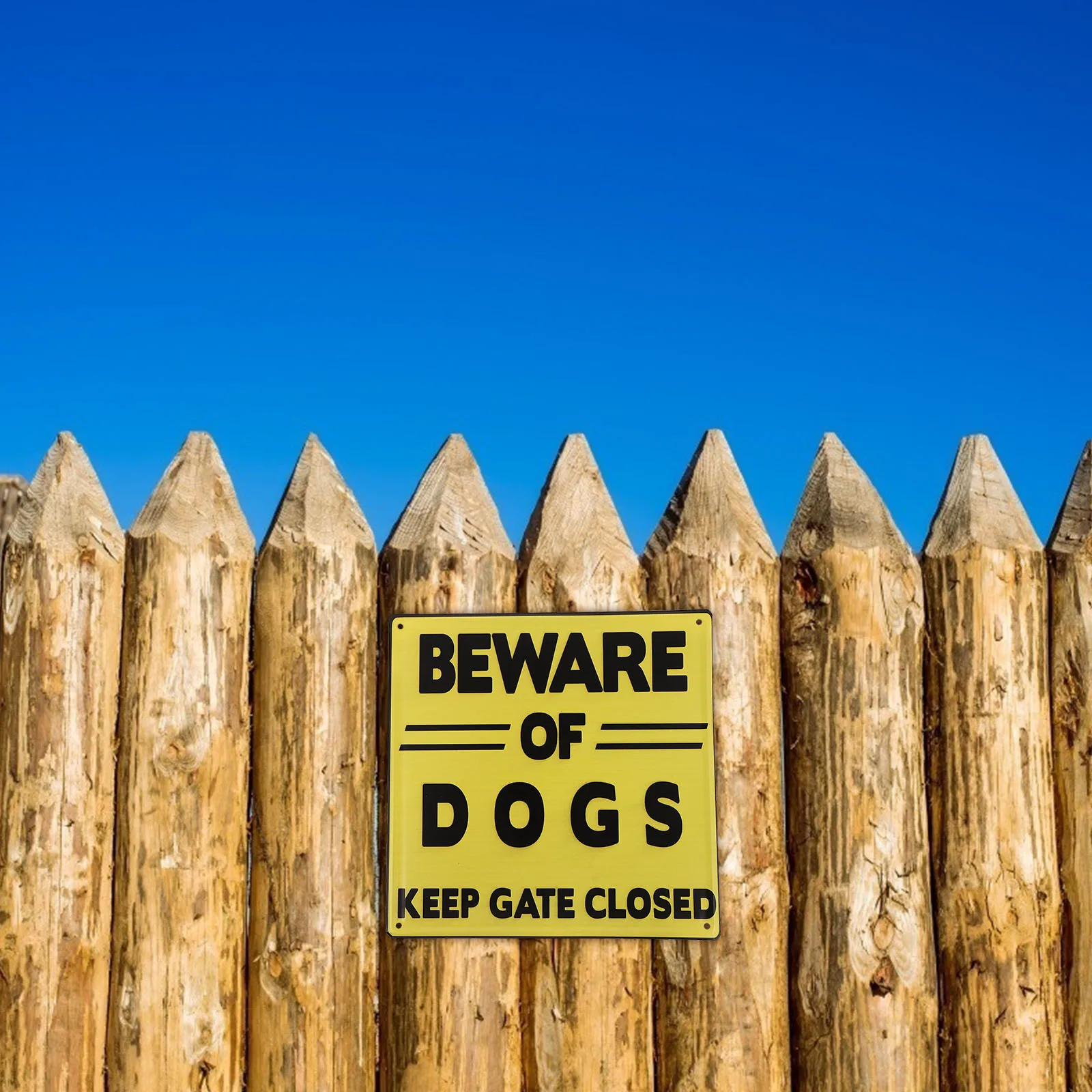 Vintage Iron Durable Retro Garden Decor Warning Dog Caution Dogs Sign Sign Outdoor naments Tin Painting
Vintage Iron Durable Retro Garden Decor Warning Dog Caution Dogs Sign Sign Outdoor naments Tin Painting