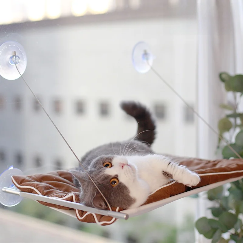 Works Suspension Bed Window Suction Cup Suthing Indoor Pet Bed No Drilling Required Universal Size Metal Frame Support
Works Suspension Bed Window Suction Cup Suthing Indoor Pet Bed No Drilling Required Universal Size Metal Frame Support