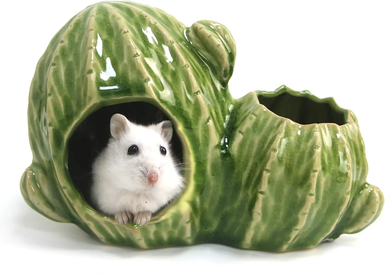 Ceramic Hamster Hideout, Dwarf & Syrian Hamster Hut with Double Doors, Anti-Bite Hideaway House for Mice & Gerbils (Light Green)
Ceramic Hamster Hideout, Dwarf & Syrian Hamster Hut with Double Doors, Anti-Bite Hideaway House for Mice & Gerbils (Light Green)