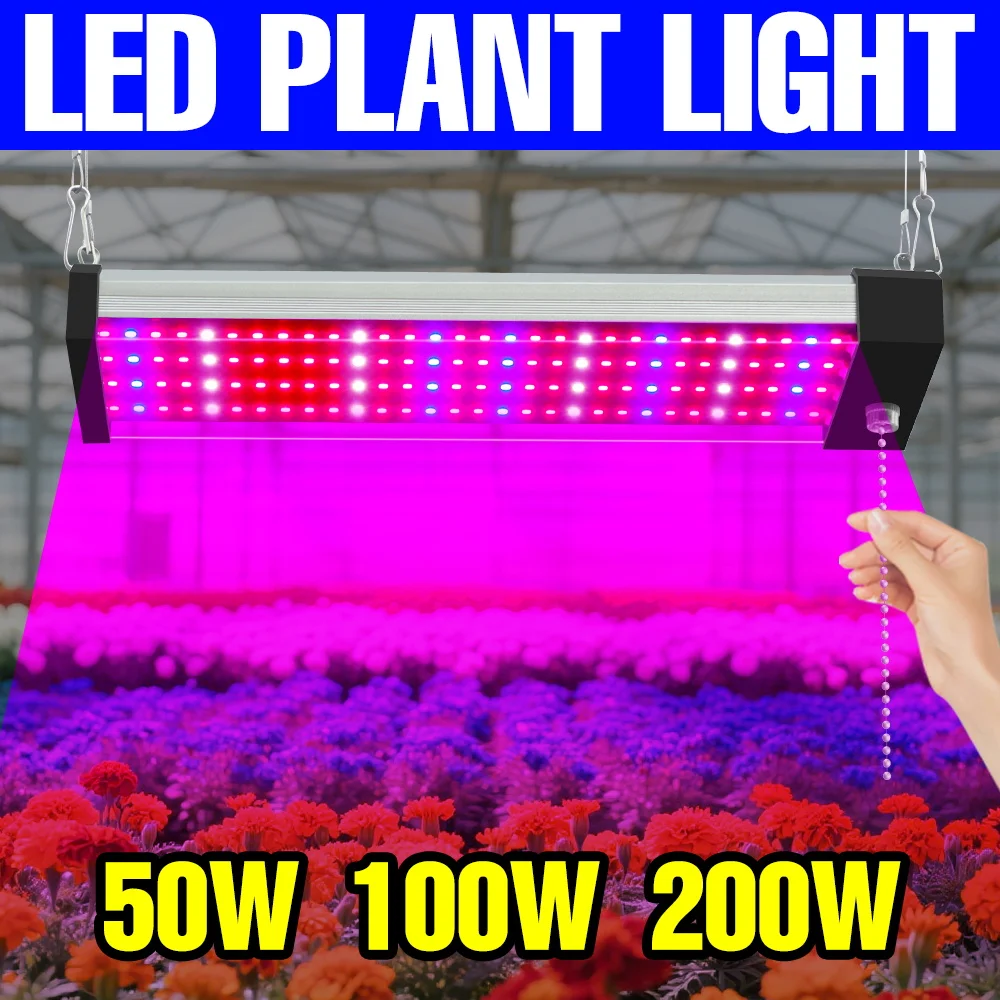 300 Вт светодиодный светильник для выращивания растений, полный спектр, квантовая доска, комнатные цветы, гидропонная лампа, овощи, кактус, заполняющее освещение
300 Вт светодиодный светильник для выращивания растений, полный спектр, квантовая доска, комнатные цветы, гидропонная лампа, овощи, кактус, заполняющее освещение