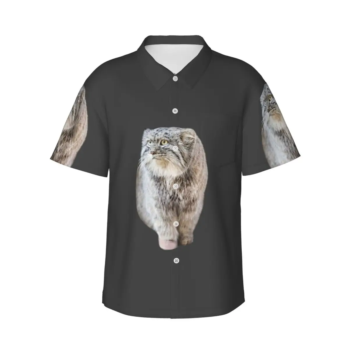 Круглые мужские рубашки Pallas Cat, гавайская рубашка с коротким рукавом, модные топы на пуговицах для летнего пляжа
Круглые мужские рубашки Pallas Cat, гавайская рубашка с коротким рукавом, модные топы на пуговицах для летнего пляжа