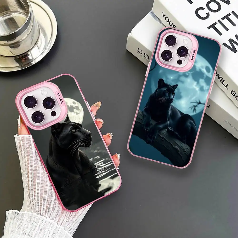 Dark Night Panther Phone Case For iPhone 16,15,14,13,12,11,Mini,Pro,MAX Pink Matte Shockproof Cover
Dark Night Panther Phone Case For iPhone 16,15,14,13,12,11,Mini,Pro,MAX Pink Matte Shockproof Cover