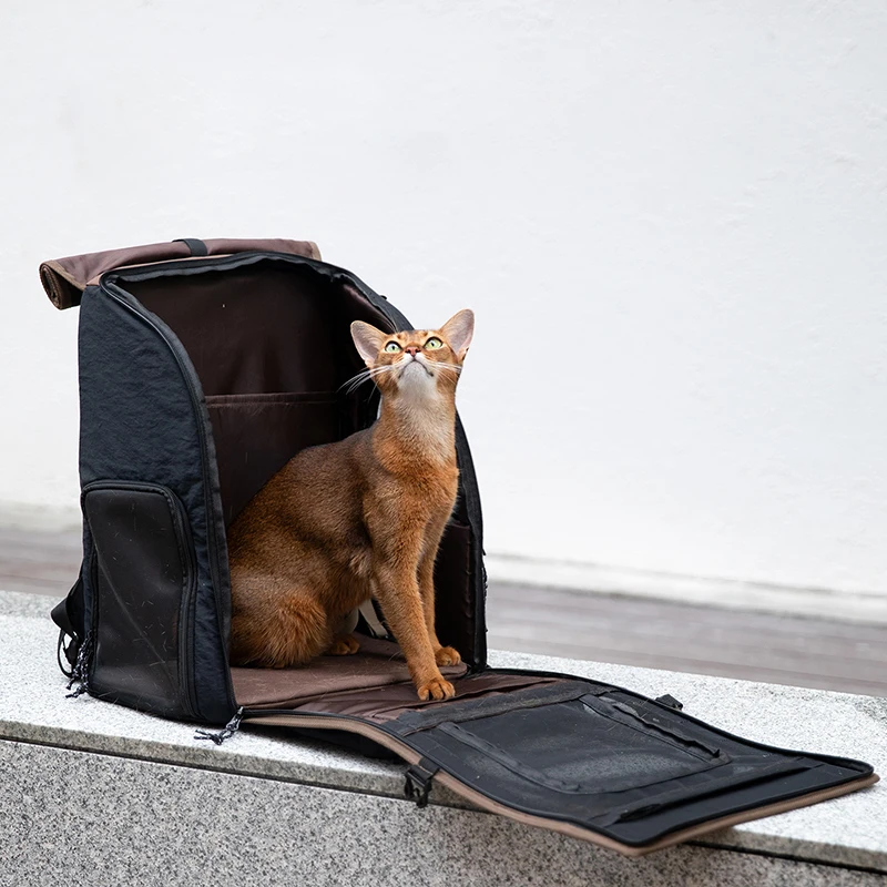 Space Capsule Pet Double Shoulder Bag Cat Dog Bag Pet Outdoor Portable Cat Carrier Bag Large Capacity Backpack for Cats
Space Capsule Pet Double Shoulder Bag Cat Dog Bag Pet Outdoor Portable Cat Carrier Bag Large Capacity Backpack for Cats