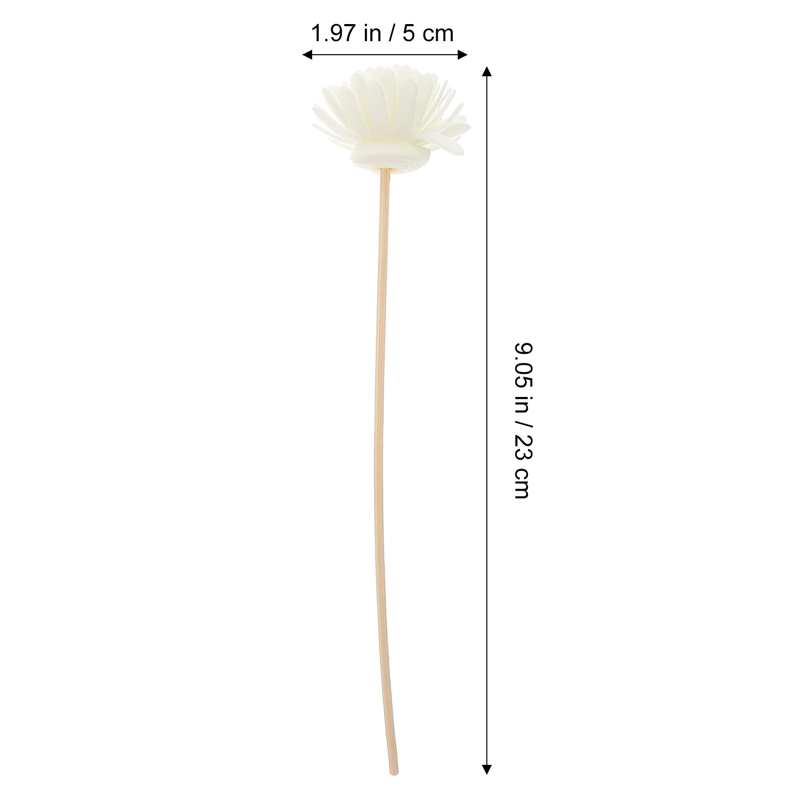 10pcs Diffuser Sticks Chrysanthemum Aroma Diffuser Reeds 3mm Diameter 20cm Length Essential Oil Reeds Fragrance Eco
10pcs Diffuser Sticks Chrysanthemum Aroma Diffuser Reeds 3mm Diameter 20cm Length Essential Oil Reeds Fragrance Eco