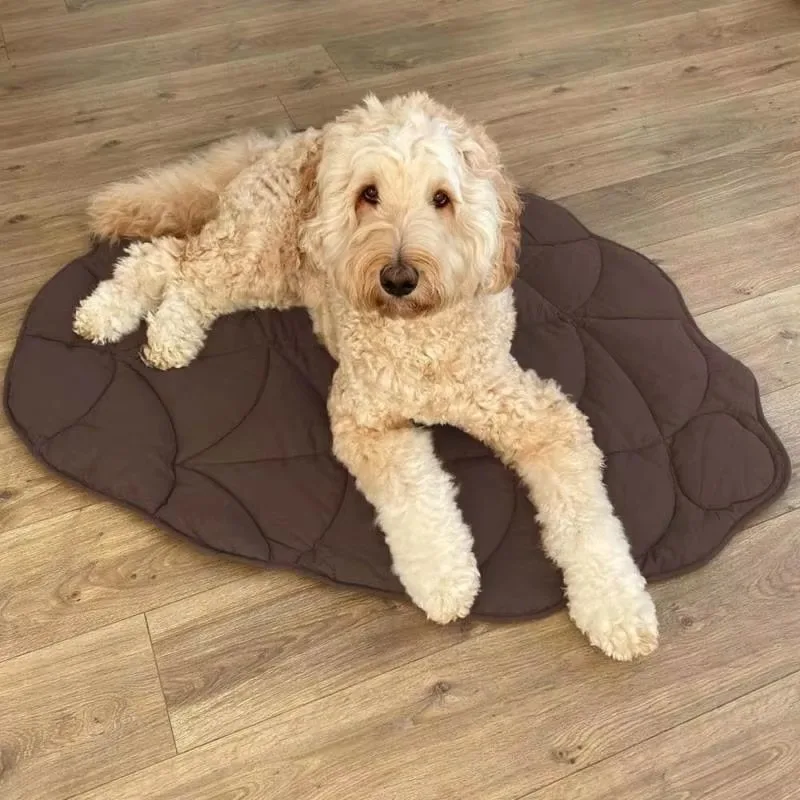Decorative 3D Tree Leaf Shape Pet Blanket Cushion Cat Dog Blanket Soft Cooling Washable Dog Thickened Sleeping Mat
Decorative 3D Tree Leaf Shape Pet Blanket Cushion Cat Dog Blanket Soft Cooling Washable Dog Thickened Sleeping Mat