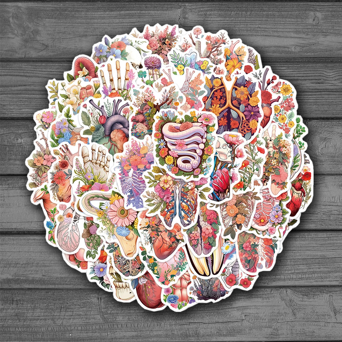 50Pcs Cartoon Human Body Anatomy Stickers Set for Kids Waterproof DIY Decals for Phone Laptop Bike Suitcase Skateboard
50Pcs Cartoon Human Body Anatomy Stickers Set for Kids Waterproof DIY Decals for Phone Laptop Bike Suitcase Skateboard