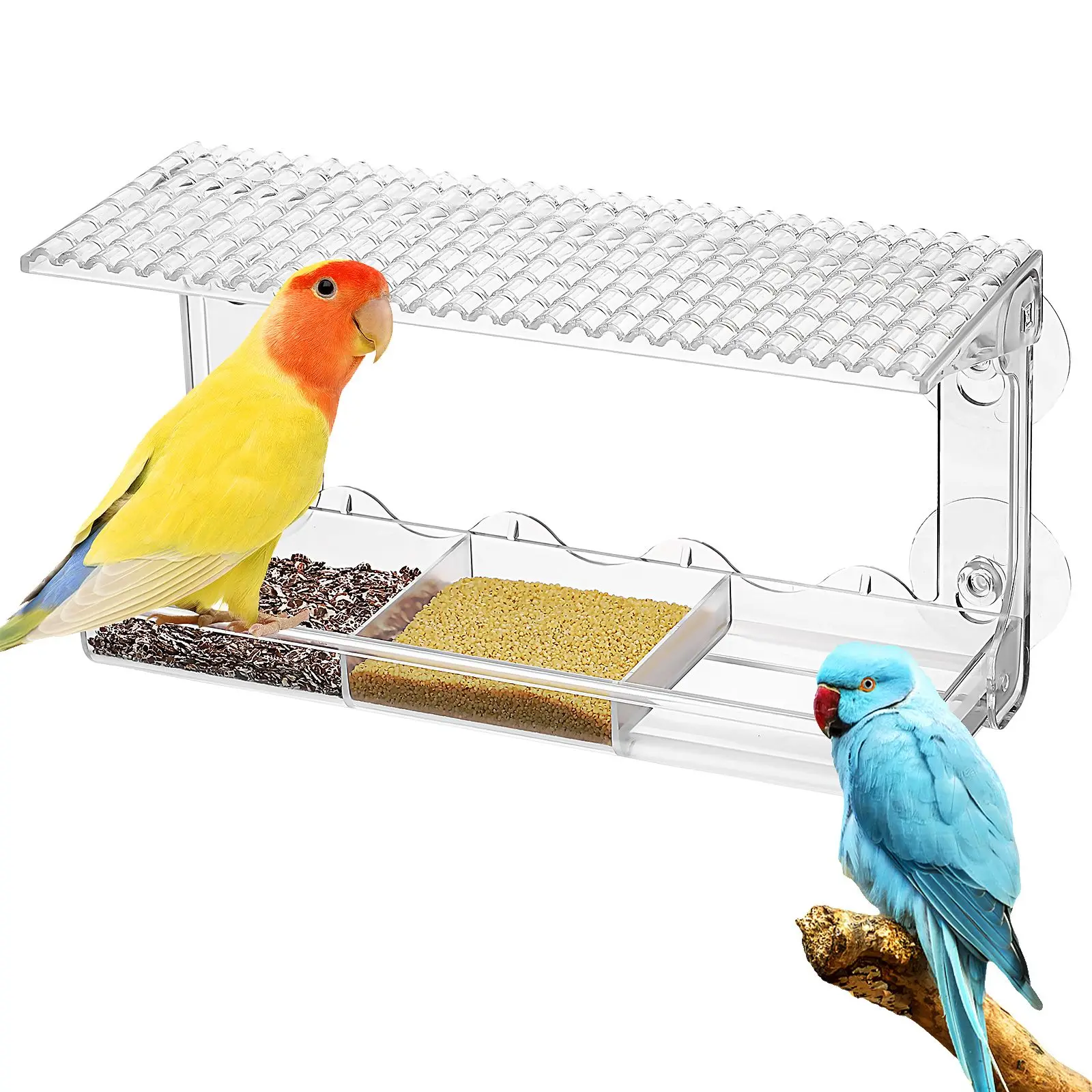 Window Bird Feeder for outside Wild Birds Feeders Outdoors Clear Viewing Houses Suction Cup
Window Bird Feeder for outside Wild Birds Feeders Outdoors Clear Viewing Houses Suction Cup