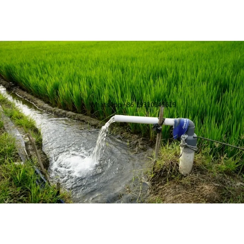 【From China】3 AC DC High Flow Solar Submersible Plastic Impeller Centrifugal Water Pump 110V 220V Hybrid Well Pressure Irrigatio
【From China】3 AC DC High Flow Solar Submersible Plastic Impeller Centrifugal Water Pump 110V 220V Hybrid Well Pressure Irrigatio
