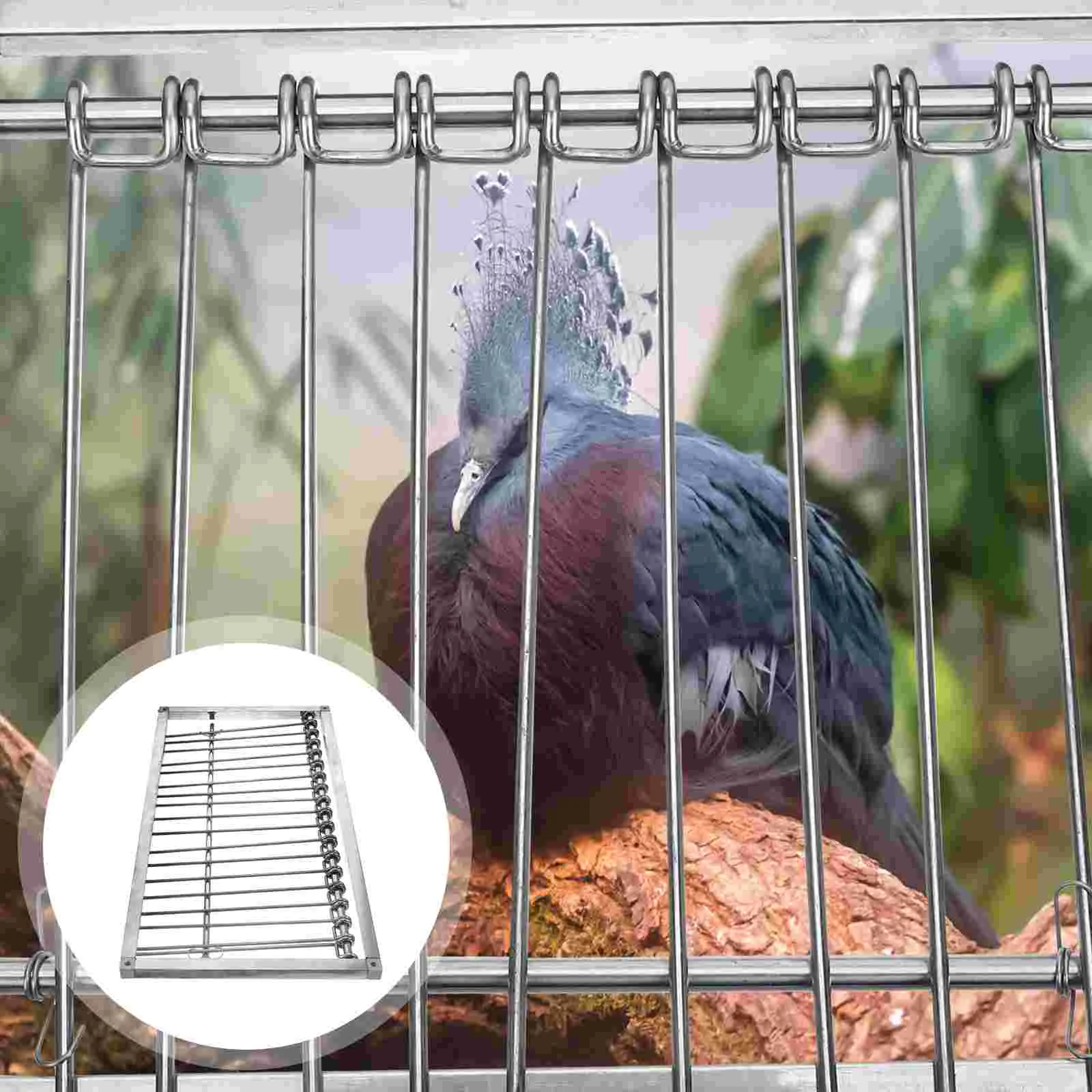 Pigeon Jumping Cage Door Bird Supplies Metal Birds Entrance Wire Traps Doors for Cages
Pigeon Jumping Cage Door Bird Supplies Metal Birds Entrance Wire Traps Doors for Cages
