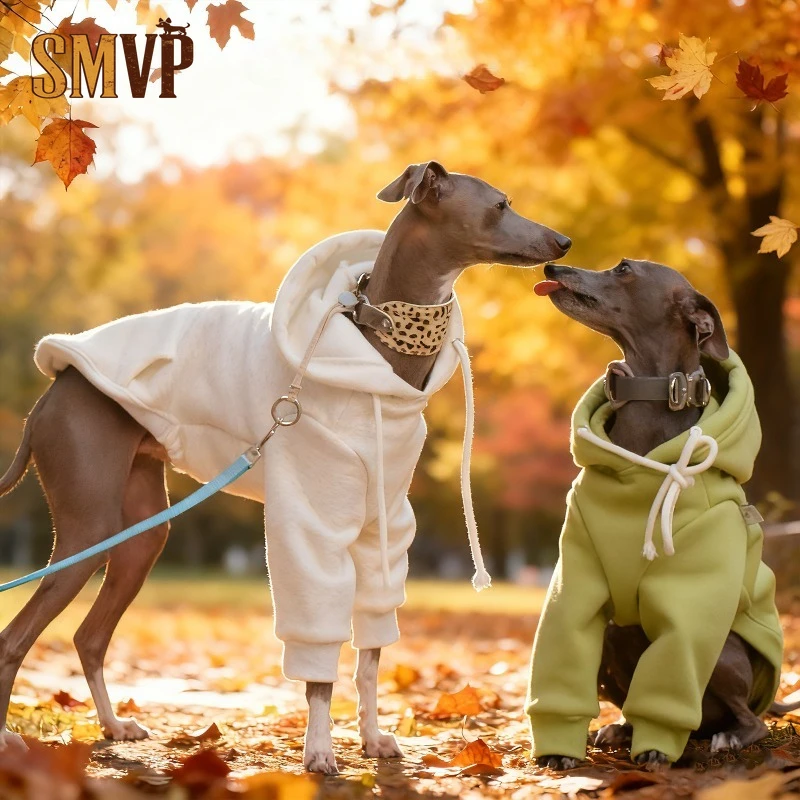 Thick Cotton Dog Hoodie for Italian Greyhound Whippet Solid Color Warm Pet Sweatshirt for Small Medium Dogs Pet Clothes
Thick Cotton Dog Hoodie for Italian Greyhound Whippet Solid Color Warm Pet Sweatshirt for Small Medium Dogs Pet Clothes