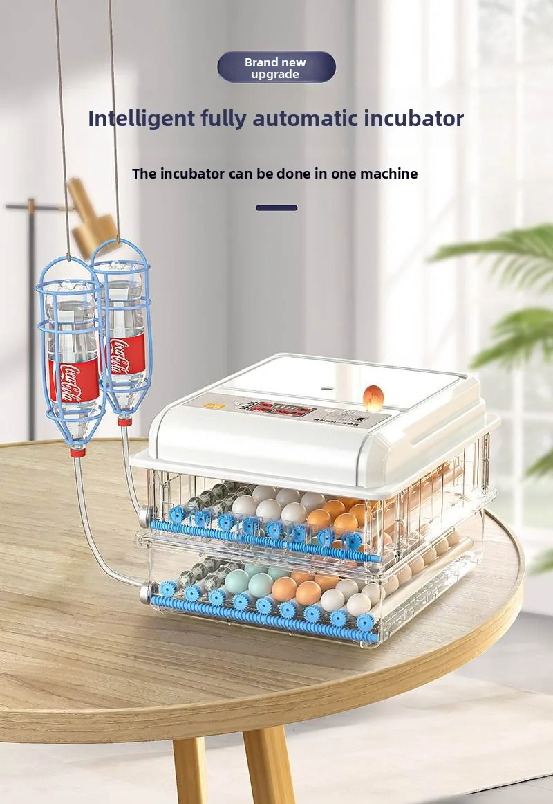 Инкубатор Маленький бытовой умный инкубатор для яиц Автоматический рутин Курица Утка Гусь Попугай Голуб
Инкубатор Маленький бытовой умный инкубатор для яиц Автоматический рутин Курица Утка Гусь Попугай Голуб