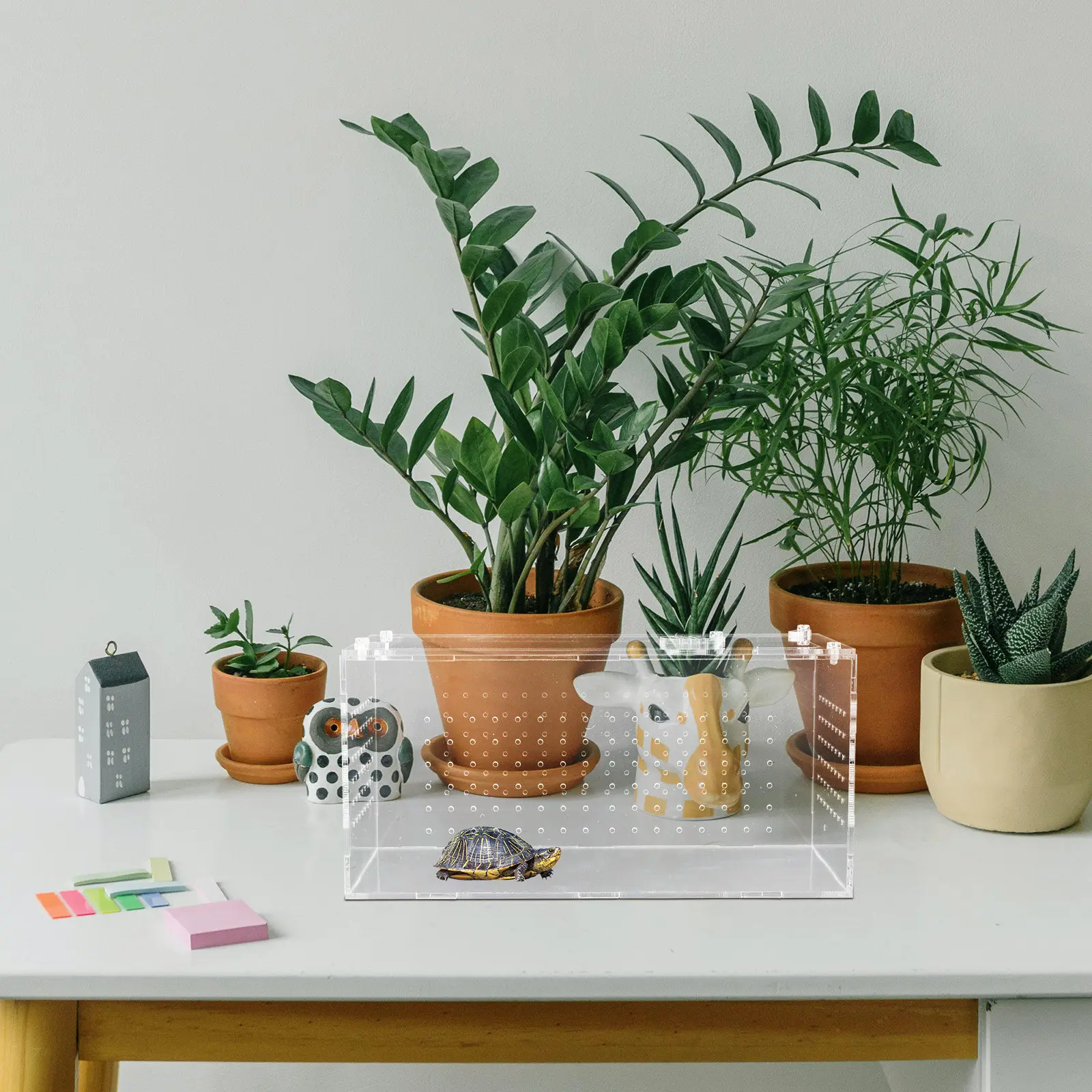 Прозрачный акриловый вентилируемый террариум для рептилий: место обитания для пауков, ящериц, змей, лягушек, сверчков.
Прозрачный акриловый вентилируемый террариум для рептилий: место обитания для пауков, ящериц, змей, лягушек, сверчков.