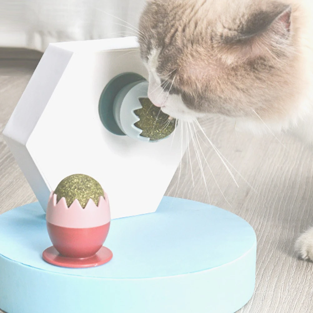 2pcs Cat Teeth Cleaning Balls Edible Kitten Toys Mint Catnip Balls Color Indoor Cat Toys Dental Care
2pcs Cat Teeth Cleaning Balls Edible Kitten Toys Mint Catnip Balls Color Indoor Cat Toys Dental Care