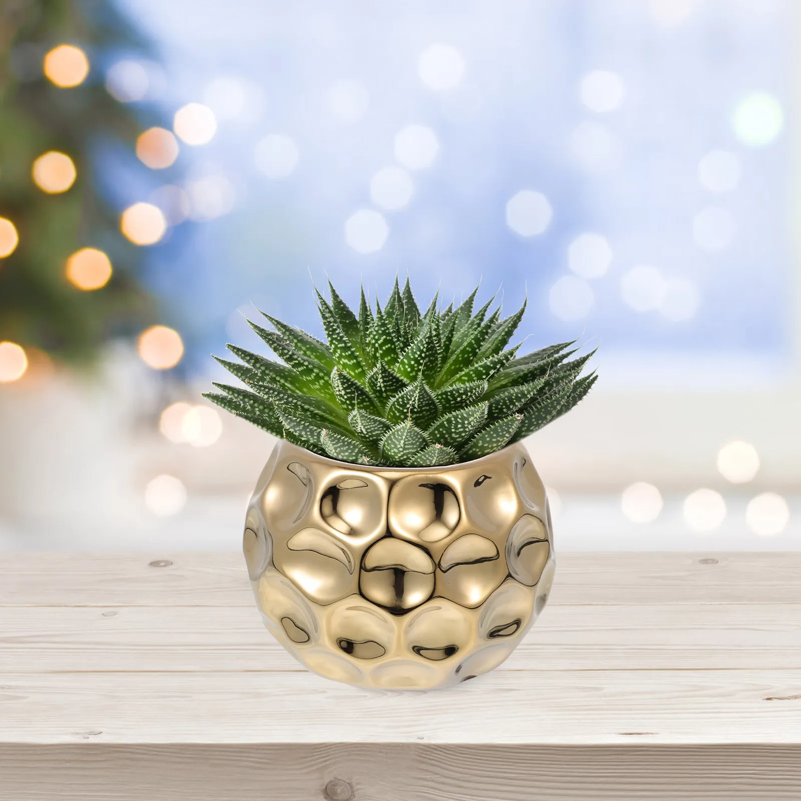 1Pcs Round Gold Flowerpot Ceramic Container Planting Pot Indoor Garden Home Decoration Golden Flowerpot Household Flower Pot
1Pcs Round Gold Flowerpot Ceramic Container Planting Pot Indoor Garden Home Decoration Golden Flowerpot Household Flower Pot