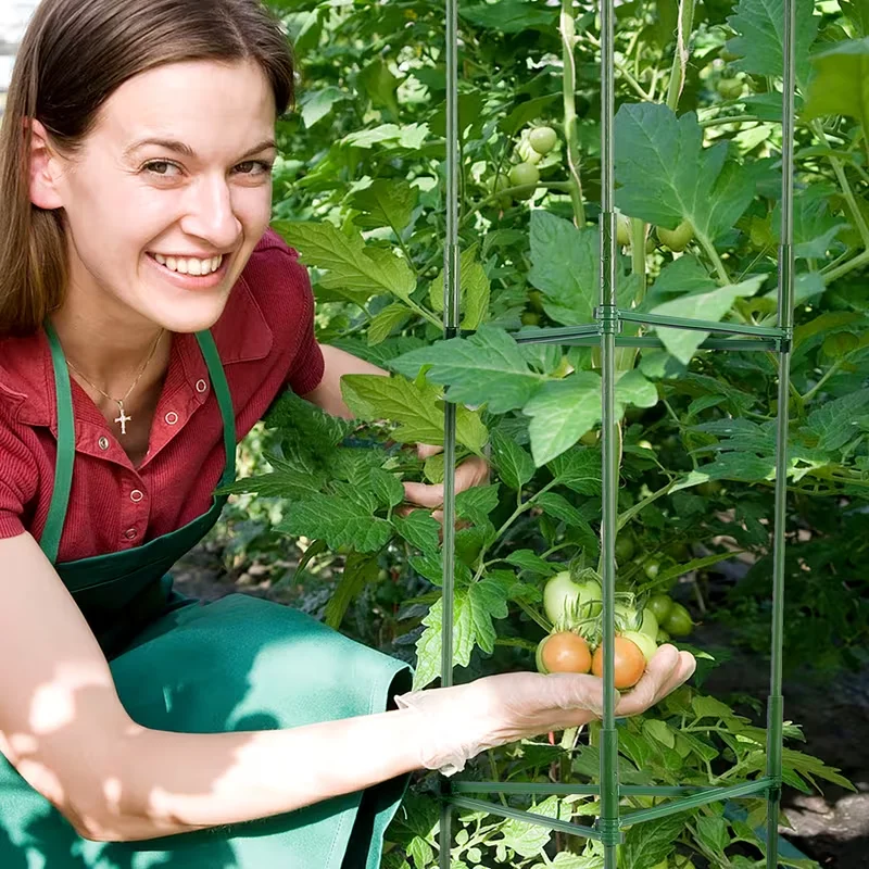 Опора для томатов, 1 шт., 1,2 м, сборная, для сада, для растений, шпалера для овощей
Опора для томатов, 1 шт., 1,2 м, сборная, для сада, для растений, шпалера для овощей