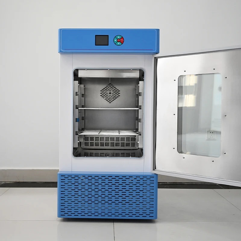 China Mold Incubator For Cultivating Bacteria And Microorganisms For Lab And Hospital Use Thermostatic Devices
China Mold Incubator For Cultivating Bacteria And Microorganisms For Lab And Hospital Use Thermostatic Devices