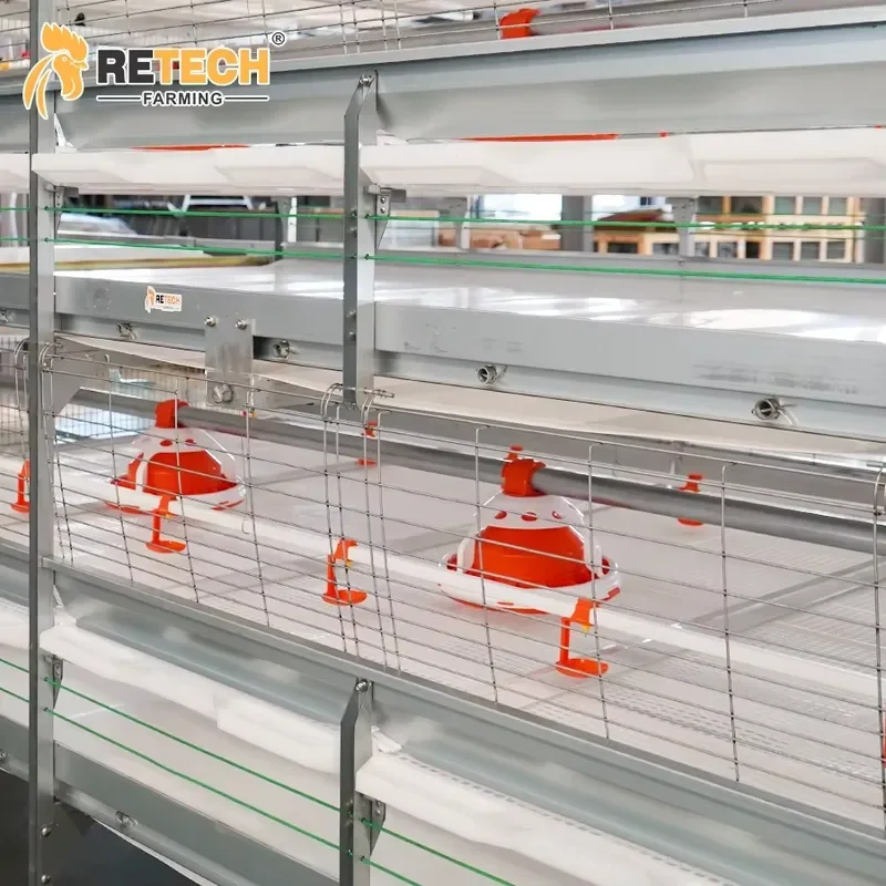 Hot Dip Galvanized Steel Poultry Chicken Farming Automatic H Type Broiler Battery Cage for 20000 Birds
Hot Dip Galvanized Steel Poultry Chicken Farming Automatic H Type Broiler Battery Cage for 20000 Birds