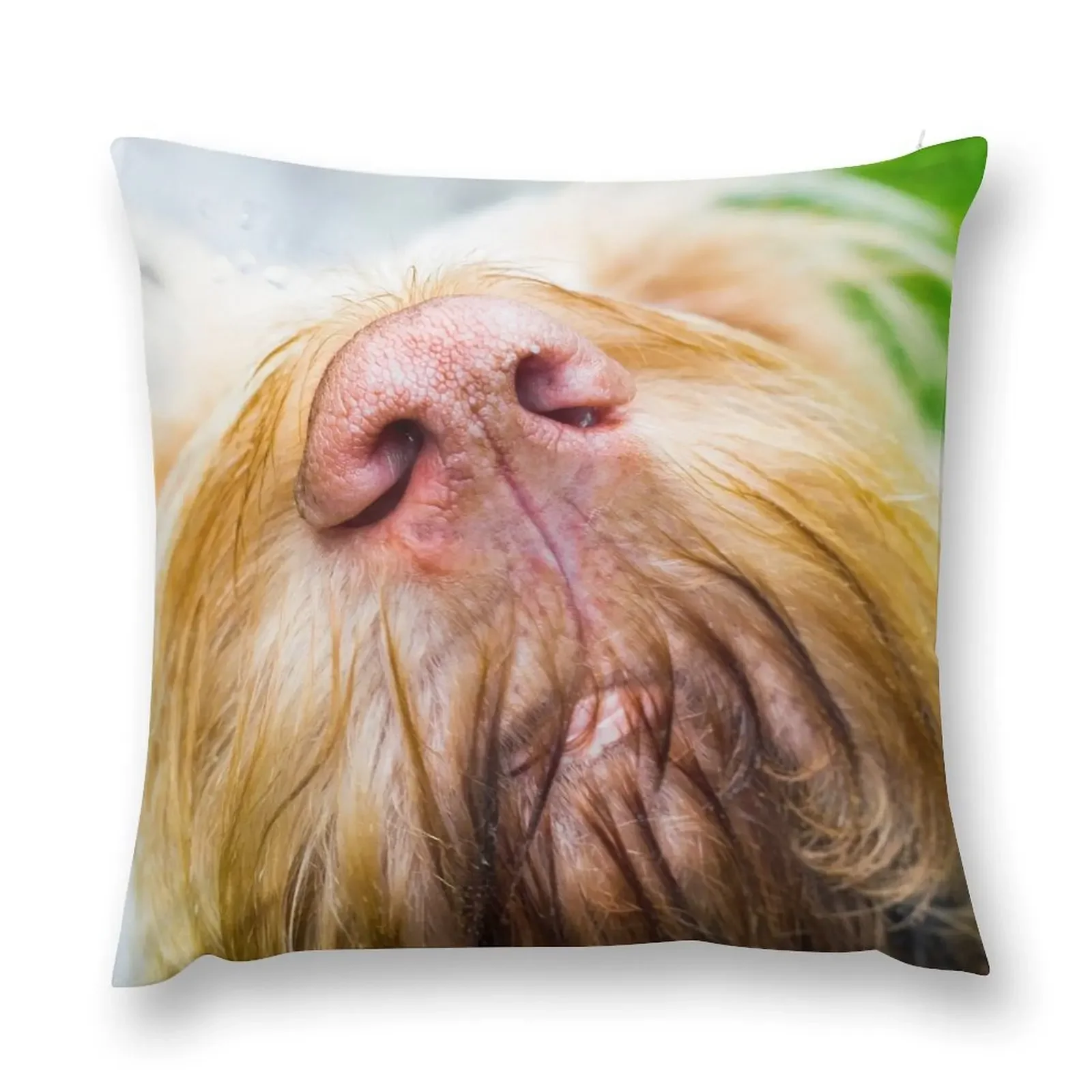 Kiss my nose Spinone Throw Pillow Pillow Case Christmas Covers For Sofas Christmas Cushion For Home pillow
Kiss my nose Spinone Throw Pillow Pillow Case Christmas Covers For Sofas Christmas Cushion For Home pillow