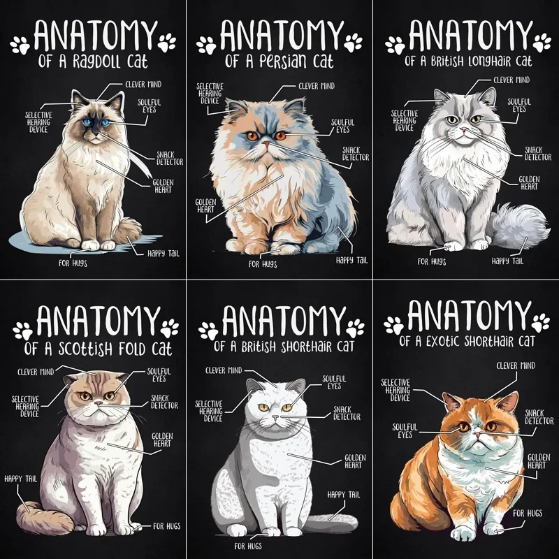 Anatomy Of Cat Pet Cat Vintage Retro Poster Metal Sign Garage Club Indoor Room Decoration Wall Decor Custom Home Decor
Anatomy Of Cat Pet Cat Vintage Retro Poster Metal Sign Garage Club Indoor Room Decoration Wall Decor Custom Home Decor