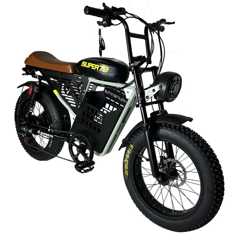 Retro Electric Bike, 20 Inch Fat Tire, 48V 1000W Motor, 60KM Range, Snow & Off-Road EBike, Dual Suspension, LCD Display
Retro Electric Bike, 20 Inch Fat Tire, 48V 1000W Motor, 60KM Range, Snow & Off-Road EBike, Dual Suspension, LCD Display