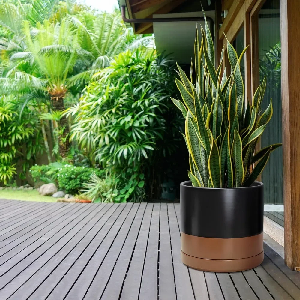 14 Inch Ceramic Planter Pot with Drainage Hole and Saucer, Indoor Cylinder Round Planter Pot, Black/Speckled Tan
14 Inch Ceramic Planter Pot with Drainage Hole and Saucer, Indoor Cylinder Round Planter Pot, Black/Speckled Tan