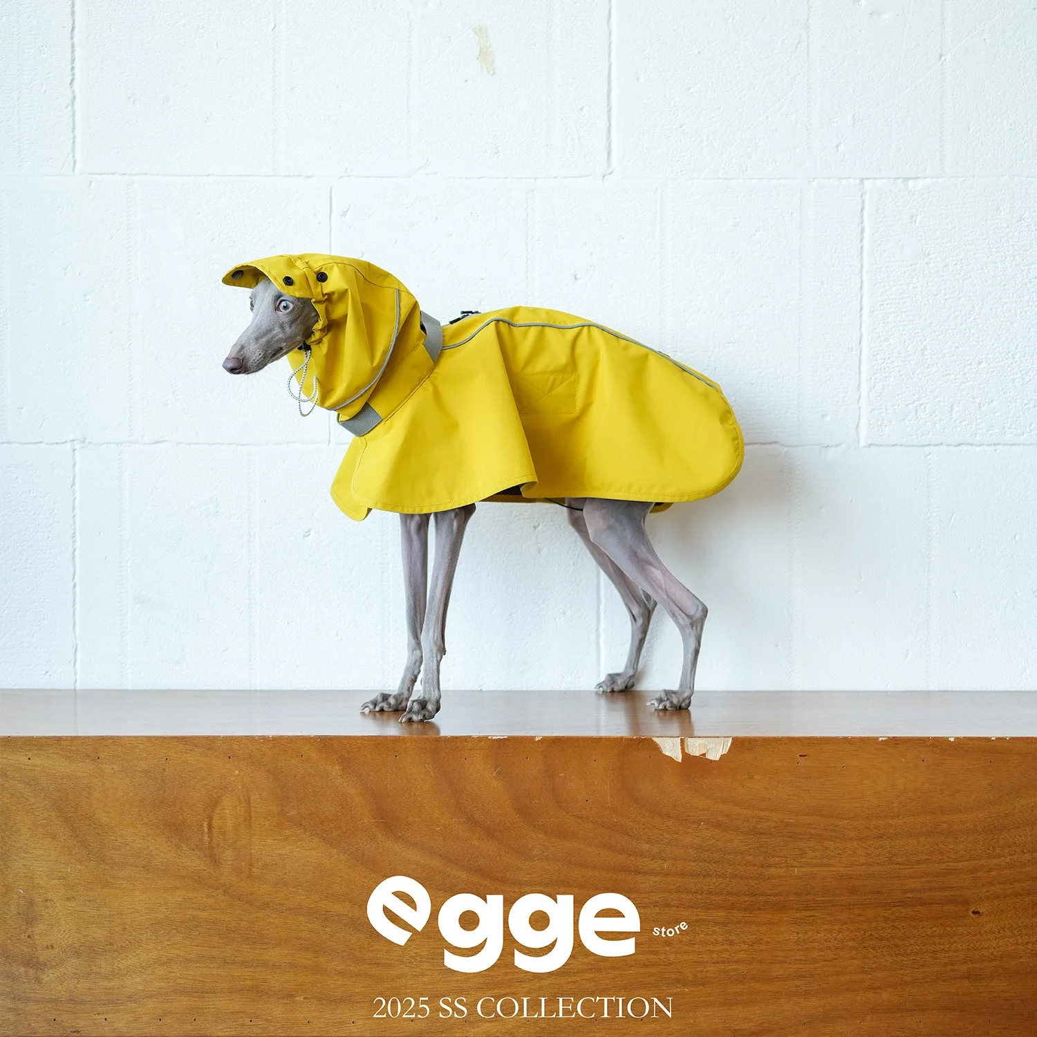 Легкий водоотталкивающий желтый дождевик EGGE с капюшоном и отверстием для поводка для итальянской болонки, водонепроницаемая куртка-накидка для собак
Легкий водоотталкивающий желтый дождевик EGGE с капюшоном и отверстием для поводка для итальянской болонки, водонепроницаемая куртка-накидка для собак